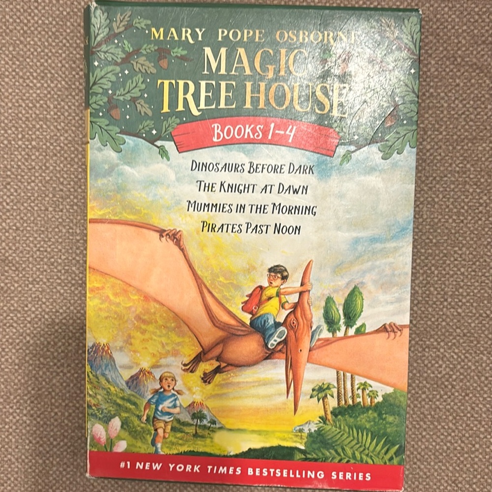Magic Tree house set of 4 books.
